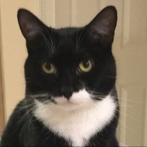 Meet your Posher, Mary a